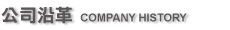company history