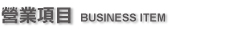 business item